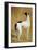 Study of a Greyhound-Jacques-Laurent Agasse-Framed Giclee Print