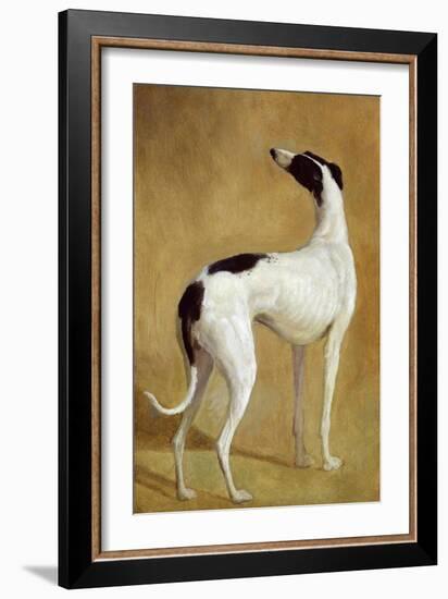 Study of a Greyhound-Jacques-Laurent Agasse-Framed Giclee Print