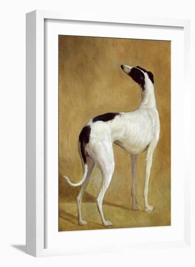 Study of a Greyhound-Jacques-Laurent Agasse-Framed Giclee Print