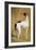 Study of a Greyhound-Jacques-Laurent Agasse-Framed Giclee Print