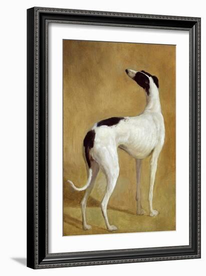 Study of a Greyhound-Jacques-Laurent Agasse-Framed Giclee Print