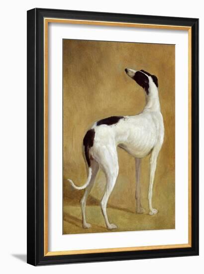 Study of a Greyhound-Jacques-Laurent Agasse-Framed Giclee Print