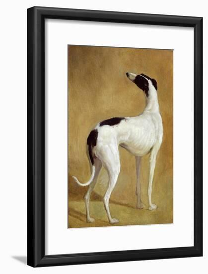 Study of a Greyhound-Jacques-Laurent Agasse-Framed Giclee Print