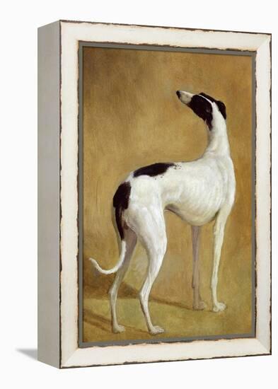 Study of a Greyhound-Jacques-Laurent Agasse-Framed Premier Image Canvas