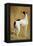 Study of a Greyhound-Jacques-Laurent Agasse-Framed Premier Image Canvas