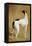 Study of a Greyhound-Jacques-Laurent Agasse-Framed Premier Image Canvas