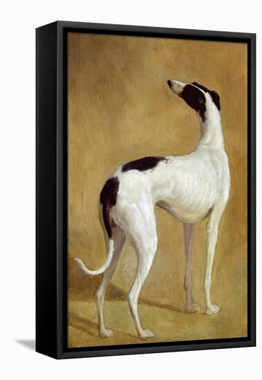 Study of a Greyhound-Jacques-Laurent Agasse-Framed Premier Image Canvas