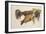 Study of a Group of Cows, C. 1801-J. M. W. Turner-Framed Giclee Print