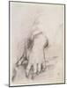 Study of a Hand For the Madonna of the Harp-Andrea del Sarto-Mounted Giclee Print