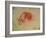 Study of a Hand-Leonardo da Vinci-Framed Giclee Print