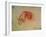 Study of a Hand-Leonardo da Vinci-Framed Giclee Print