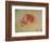 Study of a Hand-Leonardo da Vinci-Framed Giclee Print