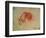 Study of a Hand-Leonardo da Vinci-Framed Giclee Print