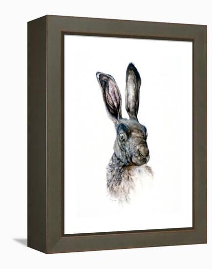 Study of a Hare, 1502-Albrecht Durer-Framed Premier Image Canvas