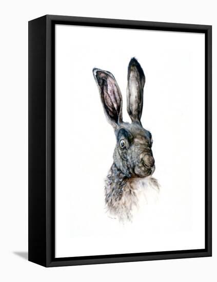 Study of a Hare, 1502-Albrecht Durer-Framed Premier Image Canvas