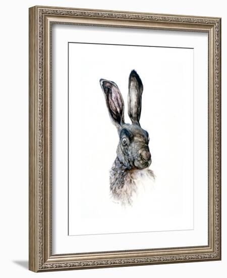 Study of a Hare, 1502-Albrecht Durer-Framed Giclee Print