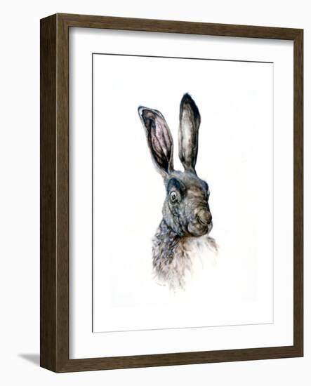 Study of a Hare, 1502-Albrecht Durer-Framed Giclee Print