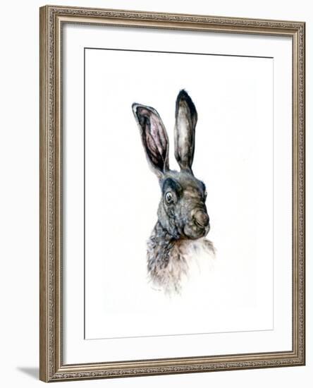 Study of a Hare, 1502-Albrecht Durer-Framed Giclee Print