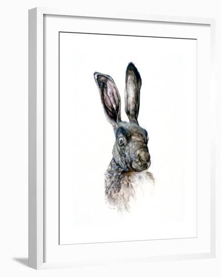 Study of a Hare, 1502-Albrecht Durer-Framed Giclee Print