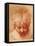 Study of a Head-Parmigianino-Framed Premier Image Canvas
