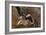 Study of a Heron (Verso)-John Constable-Framed Giclee Print