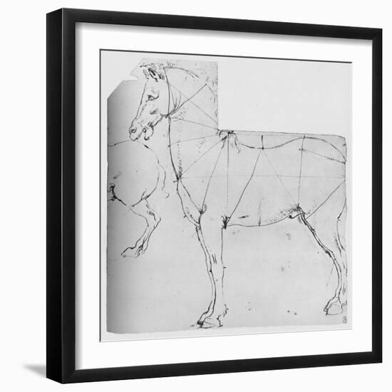 'Study of a Horse Marked Out for Measurement', c1480 (1945)-Leonardo Da Vinci-Framed Giclee Print