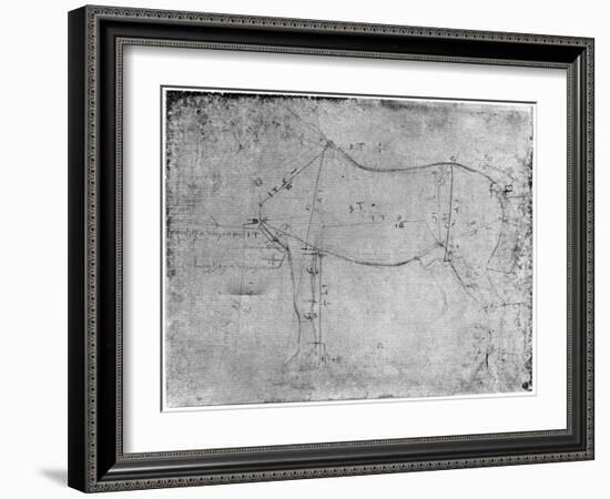 Study of a Horse-Leonardo da Vinci-Framed Giclee Print