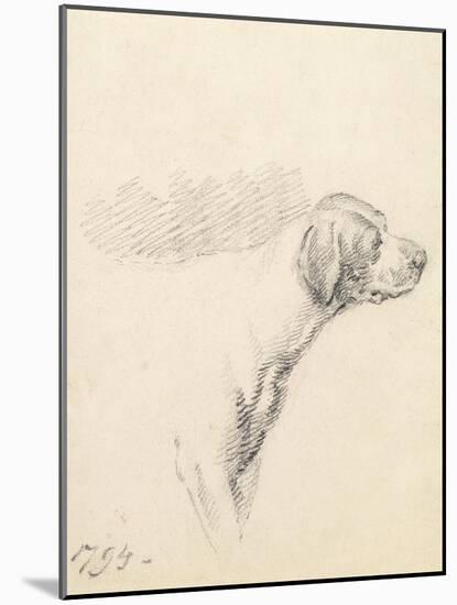 Study of a Hound, 1794 (Pencil on Paper)-George Morland-Mounted Giclee Print