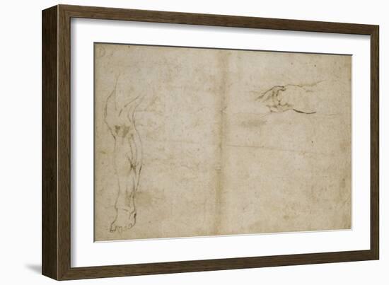 Study of a Human Leg, 16th Century-Michelangelo Buonarroti-Framed Giclee Print