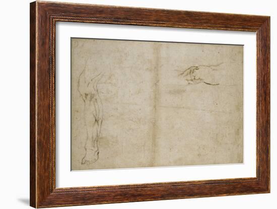 Study of a Human Leg, 16th Century-Michelangelo Buonarroti-Framed Giclee Print