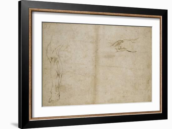 Study of a Human Leg, 16th Century-Michelangelo Buonarroti-Framed Giclee Print