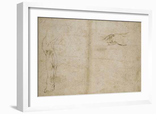 Study of a Human Leg, 16th Century-Michelangelo Buonarroti-Framed Giclee Print