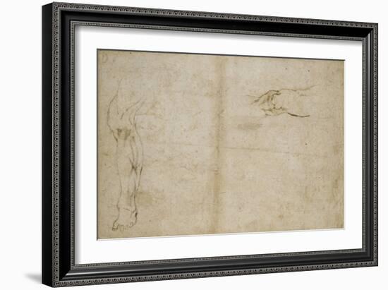 Study of a Human Leg, 16th Century-Michelangelo Buonarroti-Framed Giclee Print