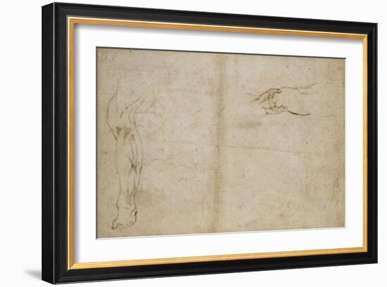 Study of a Human Leg, 16th Century-Michelangelo Buonarroti-Framed Giclee Print