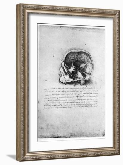 Study of a Human Skull, Late 15th or Early 16th Century-Leonardo da Vinci-Framed Giclee Print