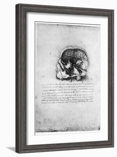 Study of a Human Skull, Late 15th or Early 16th Century-Leonardo da Vinci-Framed Giclee Print