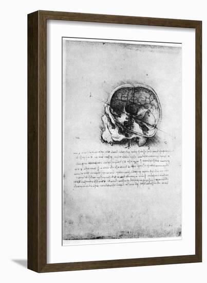 Study of a Human Skull, Late 15th or Early 16th Century-Leonardo da Vinci-Framed Giclee Print