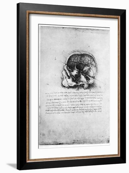 Study of a Human Skull, Late 15th or Early 16th Century-Leonardo da Vinci-Framed Giclee Print