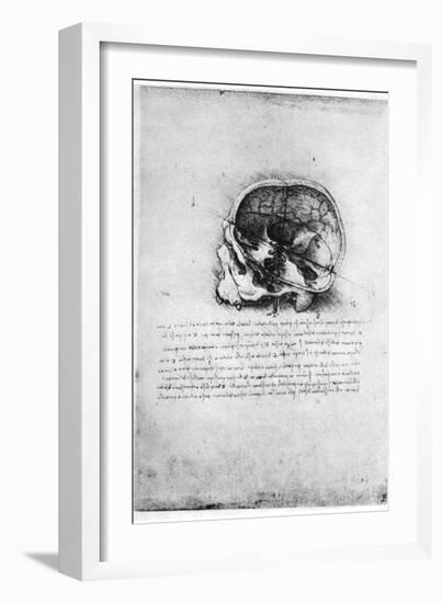 Study of a Human Skull, Late 15th or Early 16th Century-Leonardo da Vinci-Framed Giclee Print