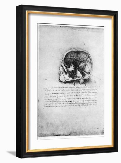 Study of a Human Skull, Late 15th or Early 16th Century-Leonardo da Vinci-Framed Giclee Print
