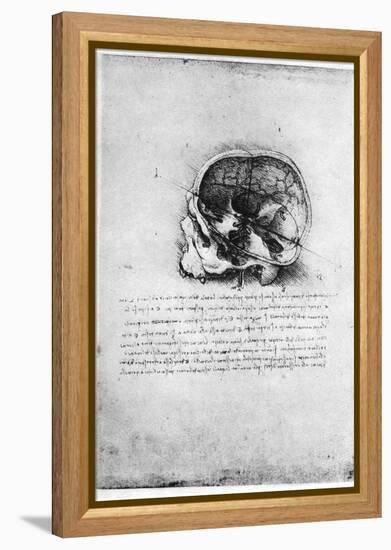 Study of a Human Skull, Late 15th or Early 16th Century-Leonardo da Vinci-Framed Premier Image Canvas