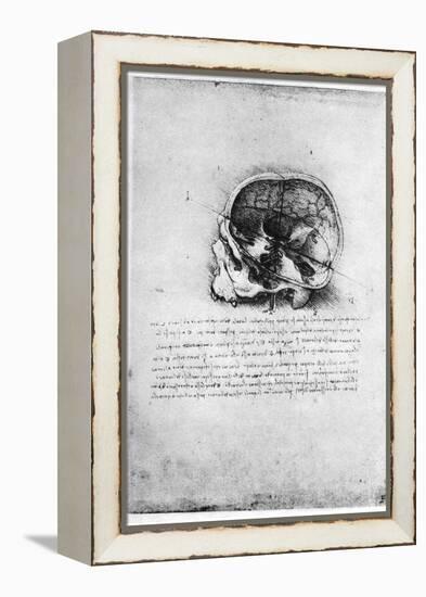 Study of a Human Skull, Late 15th or Early 16th Century-Leonardo da Vinci-Framed Premier Image Canvas