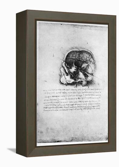 Study of a Human Skull, Late 15th or Early 16th Century-Leonardo da Vinci-Framed Premier Image Canvas