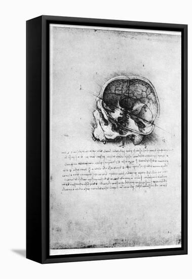 Study of a Human Skull, Late 15th or Early 16th Century-Leonardo da Vinci-Framed Premier Image Canvas