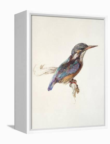 Study of a Kingfisher, with Dominant Reference to Colour, Probably October 1871-John Ruskin-Framed Premier Image Canvas