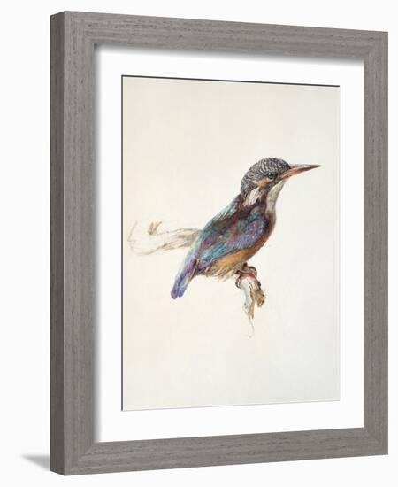 Study of a Kingfisher, with Dominant Reference to Colour, Probably October 1871-John Ruskin-Framed Giclee Print