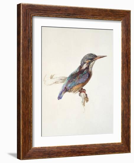 Study of a Kingfisher, with Dominant Reference to Colour, Probably October 1871-John Ruskin-Framed Giclee Print