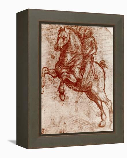 Study of a Knight, 1913-Leonardo da Vinci-Framed Premier Image Canvas