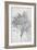 Study of a Lemon Tree, 1899-Frederic Leighton-Framed Giclee Print