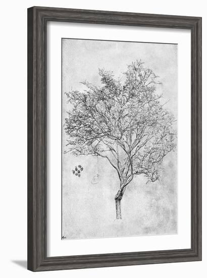 Study of a Lemon Tree, 1899-Frederic Leighton-Framed Giclee Print